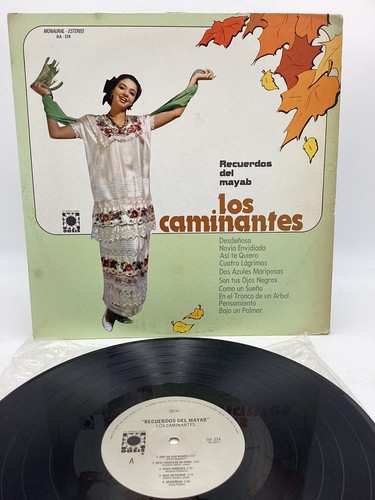 Los caminantes recuerdos del - los,